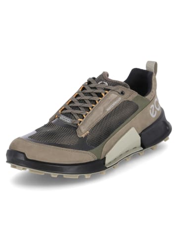 Ecco Low Sneaker BIOM 2.1 X MOUNTAIN M in Grün