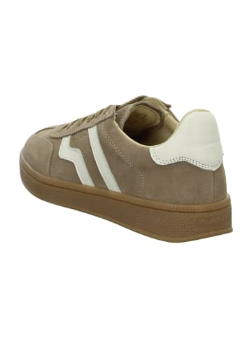 Gant Sneaker Low in Beige