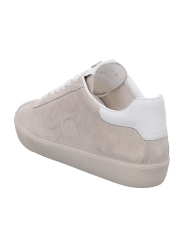 Högl Sportliche Schnürschuhe in Beige