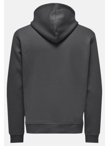 ONLY & SONS Sweatshirt / Hoodie Connor in Grey Pinstripe