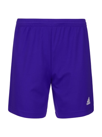 adidas Performance Trainingsshorts Entrada 22 in dunkelblau / weiß