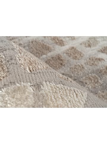 Vivorum Wohnzimmer Kurzflor Teppich Catcher 225 in silber - beige