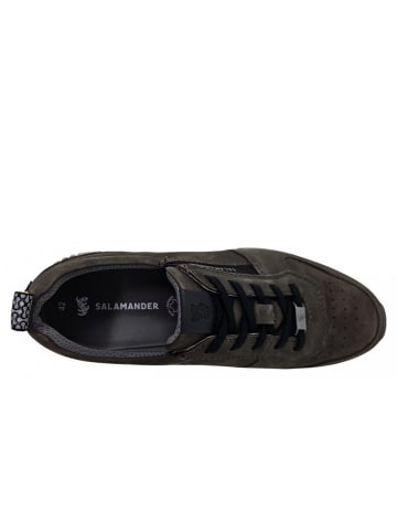 SALAMANDER sportlicher Schnürer  in Grau