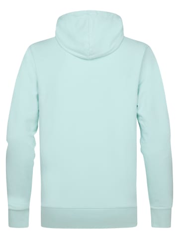 Petrol Industries Hoodie Andromeda in Grün