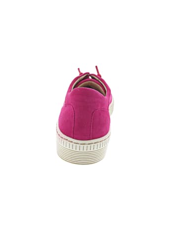 Gabor Sneaker Rosa