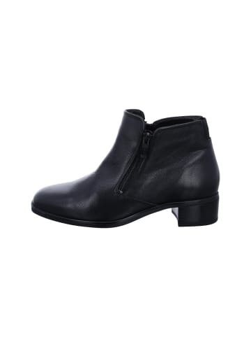 ara Stiefelette in schwarz