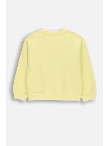 Coccodrillo Baumwoll-sweatshirt in gelb