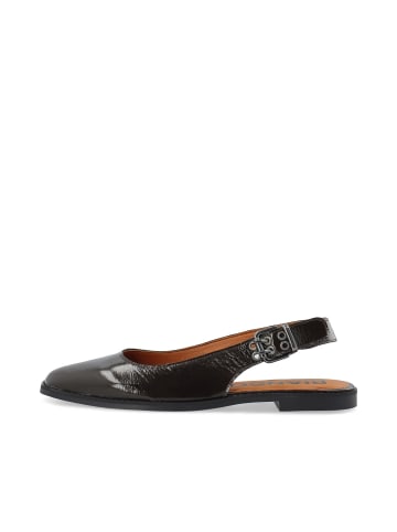 Bianco Ballerinas in DarkBrown