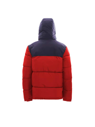 hoona Herren Wattierte Steppjacke in Rot Marine