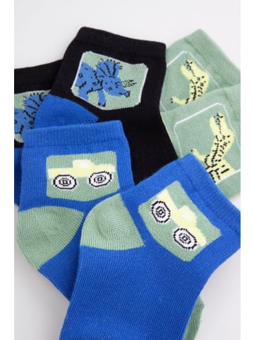 Coccodrillo Socken in bunt