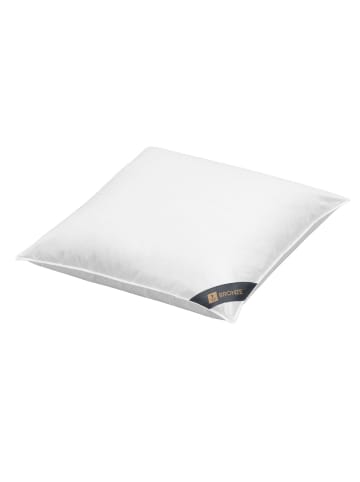 Spessarttraum Federn- und Daunenkissen "Bronze"  in weiß
