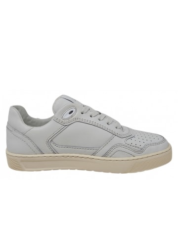 Sioux Sneaker Tedroso in Weiß