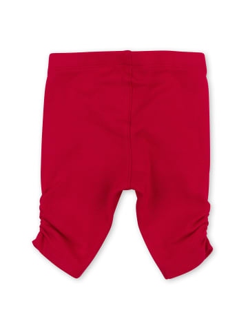 Sigikid Capri Leggings Pink Horses in rot