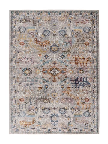 Vivorum Wohnzimmer Kurzflor Teppich Blazing Star 525 in multi