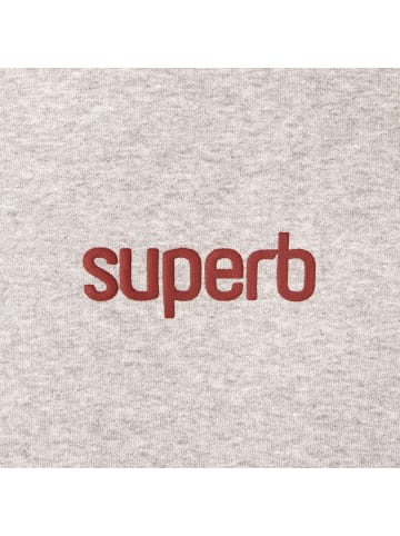 Superb Hoodie in Gray