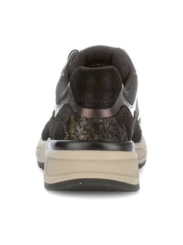 Gabor Sportliche Schnürschuhe in Schwarz