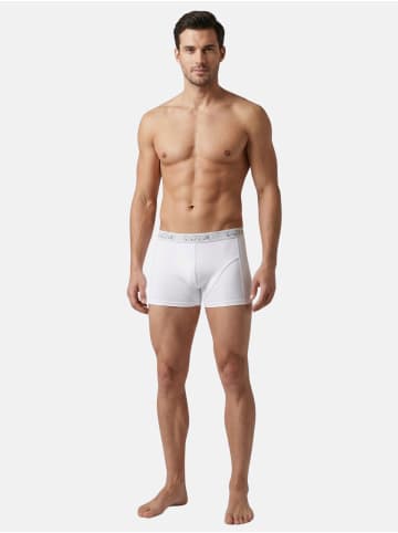 Tazzio Boxershorts 6er-Pack "BS1000" in Weiß
