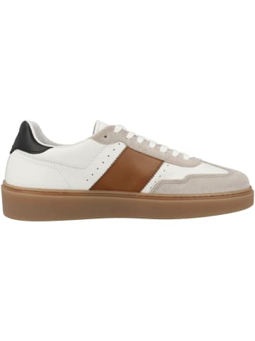 La Martina Sneaker low LFM251 in creme