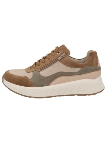 Solidus Sneaker Low in braun