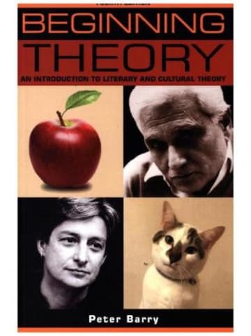 Manchester University Press Buch - Beginning Theory