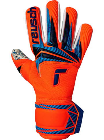 Reusch Torwarthandschuhe Attrakt Fusion NC in 2290 shocking orange/blue
