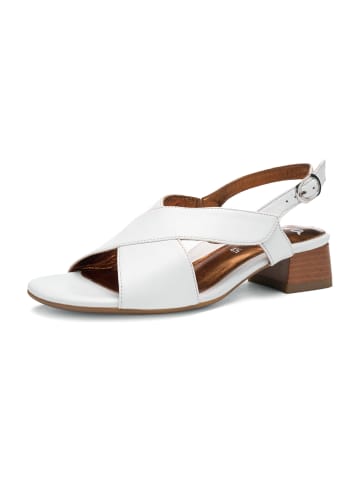 ara Sandalen in Weiß