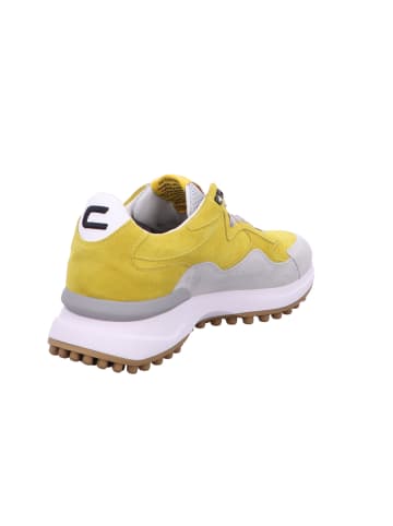 Floris van Bommel Schnürschuh in gelb