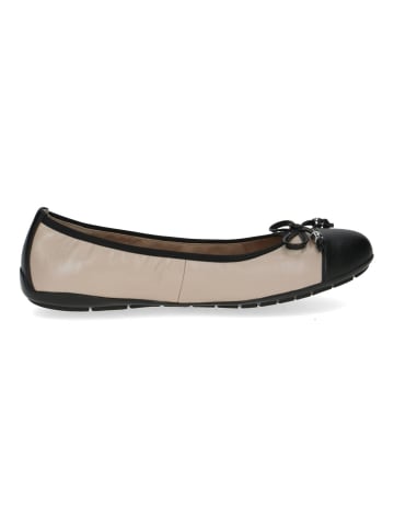 Caprice Ballerinas in Beige/Schwarz