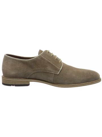 LLOYD Business Schuhe für Herren in taupe