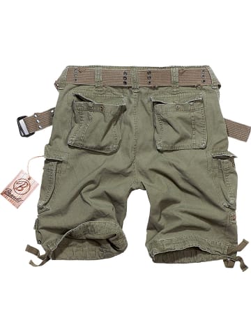 Brandit Short "Savage Vintage Shorts" in Grün