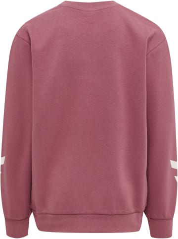 Hummel Hummel Anzug Hmlventi Unisex Kinder in DECO ROSE