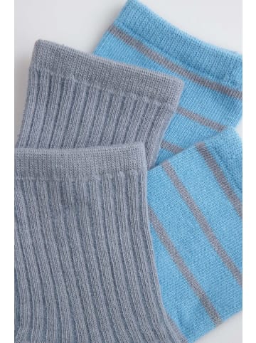 Coccodrillo Socken in bunt