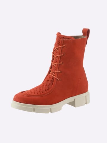 Heine Schnürstiefelette in hummer