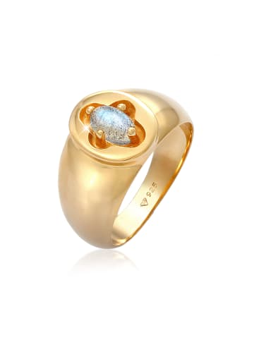 Elli Ring 925 Sterling Silber Siegelring in Gold