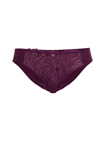 JOOP! Slip Intimate Apparel in OPEN PURPLE 1