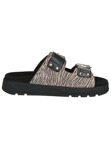 Caprice Pantolette in BEIGE ZEBRA