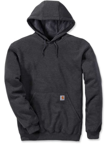 CARHARTT  Hoodie "K121" in Grau