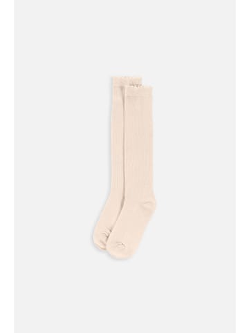 Coccodrillo Socken in beige