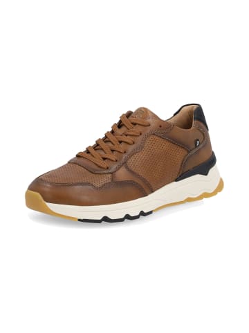 rieker SHOES "Herren Halbschuhe" in schoko