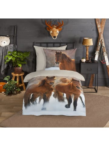 JACK 2 tlg. Flanell Bettwäsche 135x200cm Pferde Welt in Braun