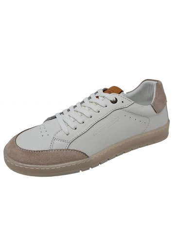 Camel Active Sneaker  in Weiß