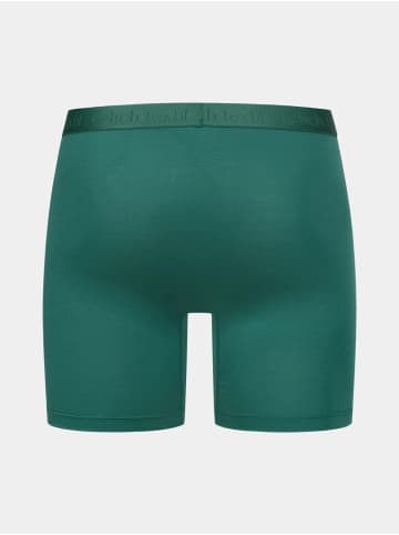 Erlich Textil LIGHT TOUCH LANGE PANTS IM 3er PACK in waldgrün