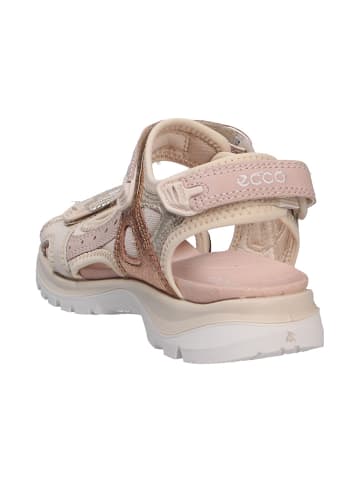 Ecco Sportsandale in rosa/pink