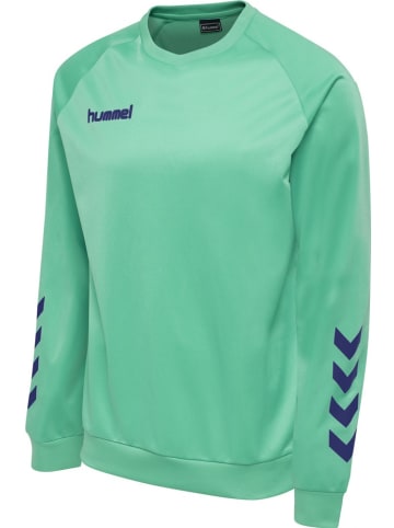 Hummel Kinder Sweatshirt "Hmlpromo" in Blau