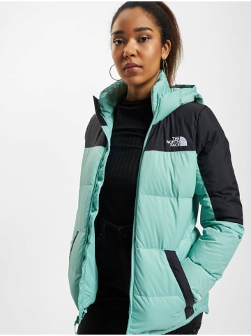 The North Face Winterjacken in wasabi/black