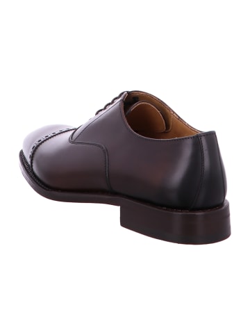 Berwick 1707 Elegante Schnürschuhe in Braun