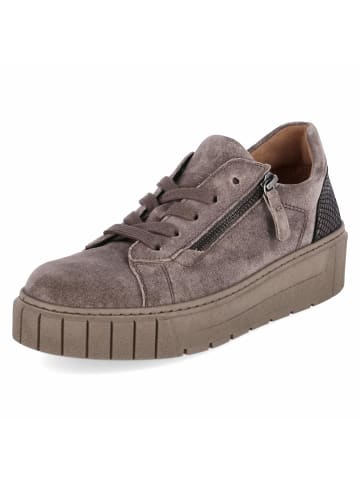 Gabor Plateau-Sneaker in taupe
