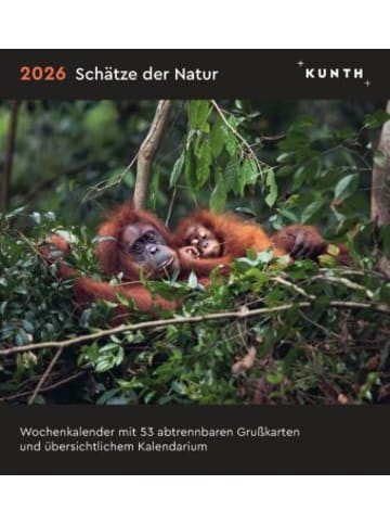 Kunth Kalender - Schätze der Natur - KUNTH Postkartenkalender 2026