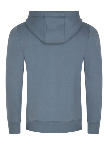 DENIMFY Sweatjacke DFLeo in Blau