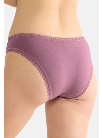 Sloggi Mini Slip GO Crush in Lila / grün / blau